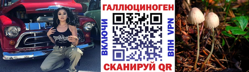 где продают   Райчихинск  мега вход  Галлюциногенные грибы Psilocybine cubensis 